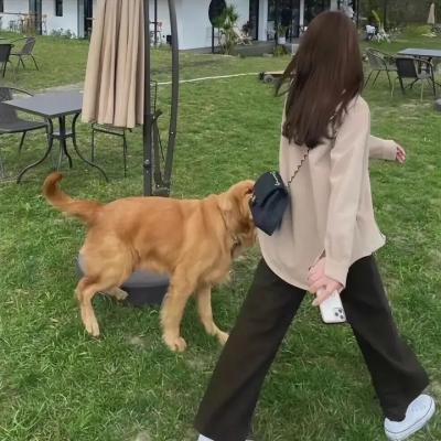陪她一会儿