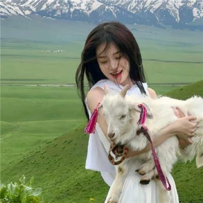 猫妖小杏